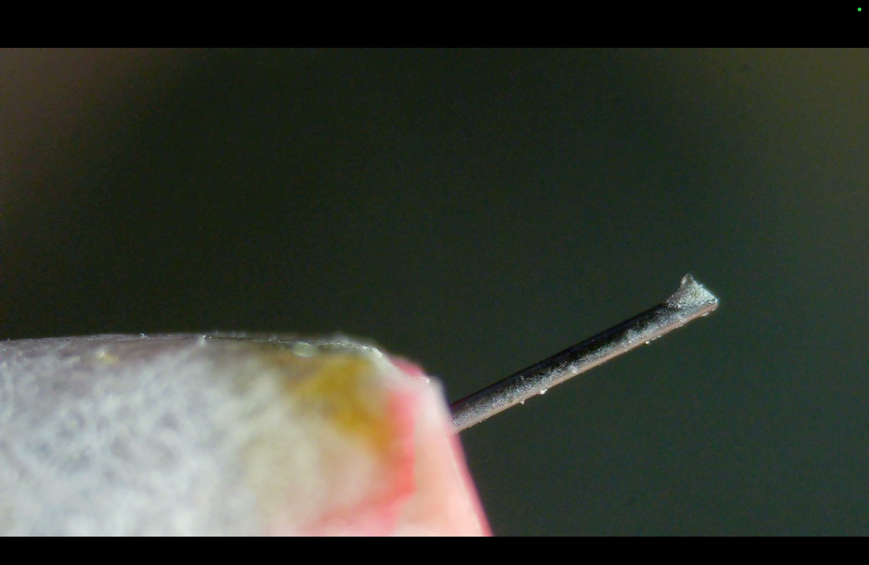 Lyra Delos MC Phono Cartridge - Factory Refurbished