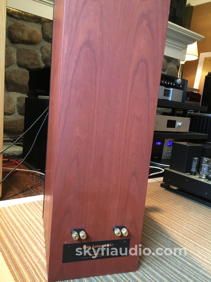 Alon Lotus Elite Speakers - Restored And Super Rare Cherry
