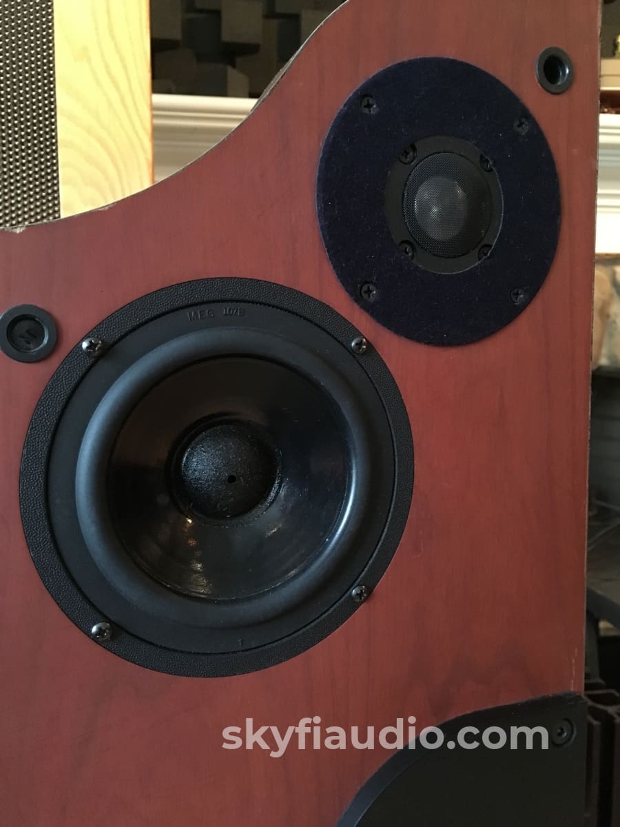 Alon Lotus Elite Speakers - Restored And Super Rare Cherry