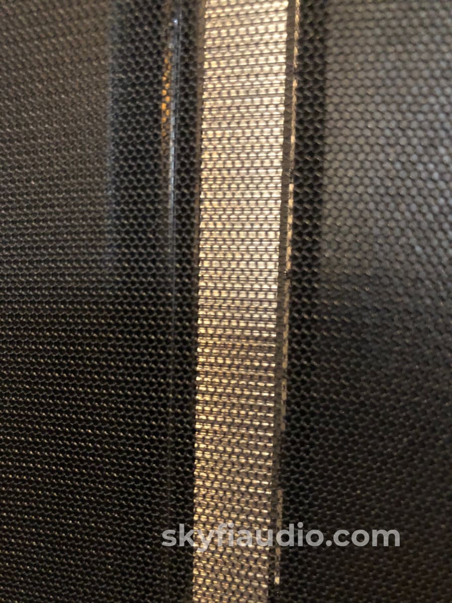 Apogee Acoustics Full Range Aka The Speakers - Spectacular