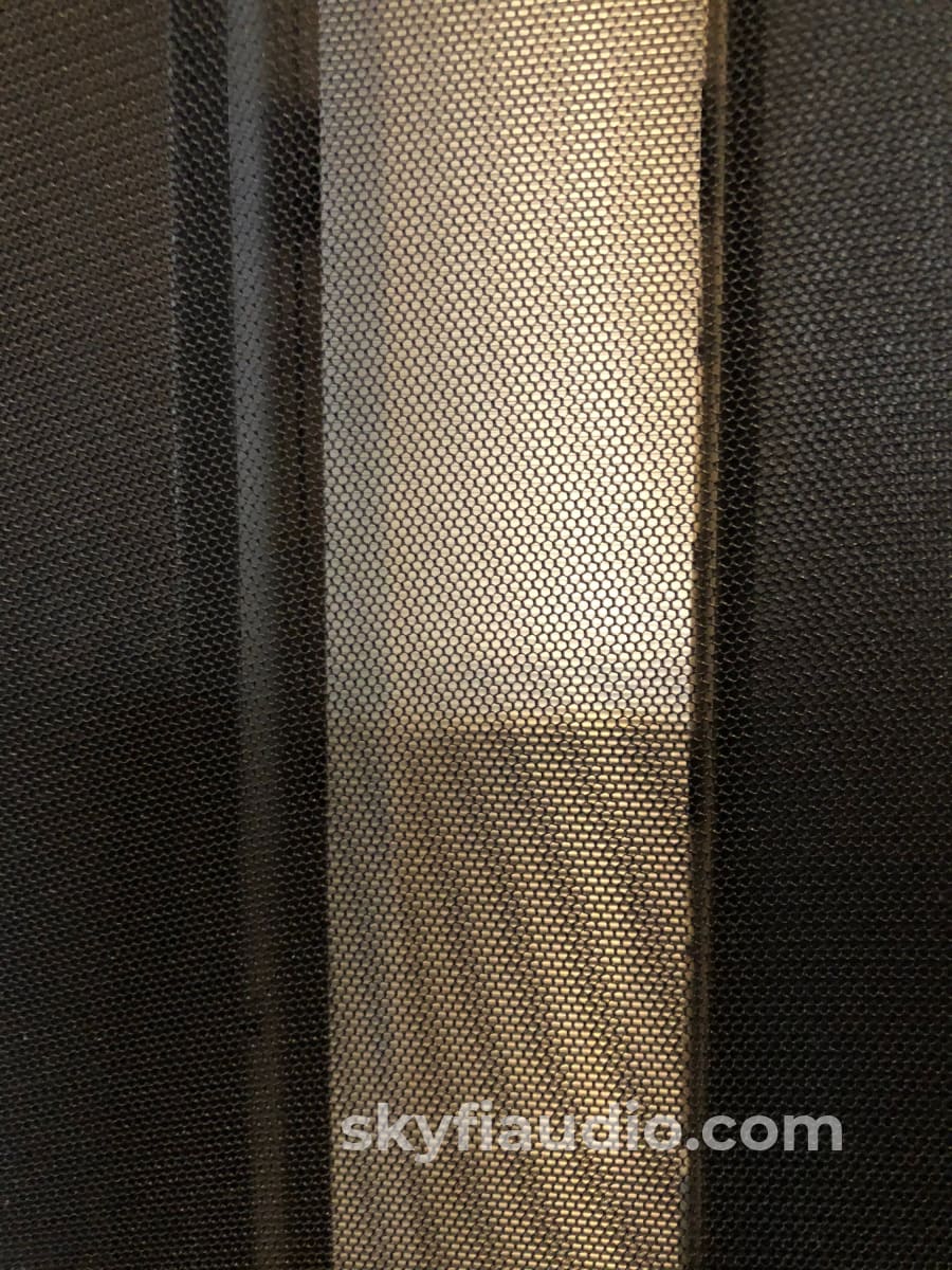 Apogee Acoustics Full Range Aka The Speakers - Spectacular