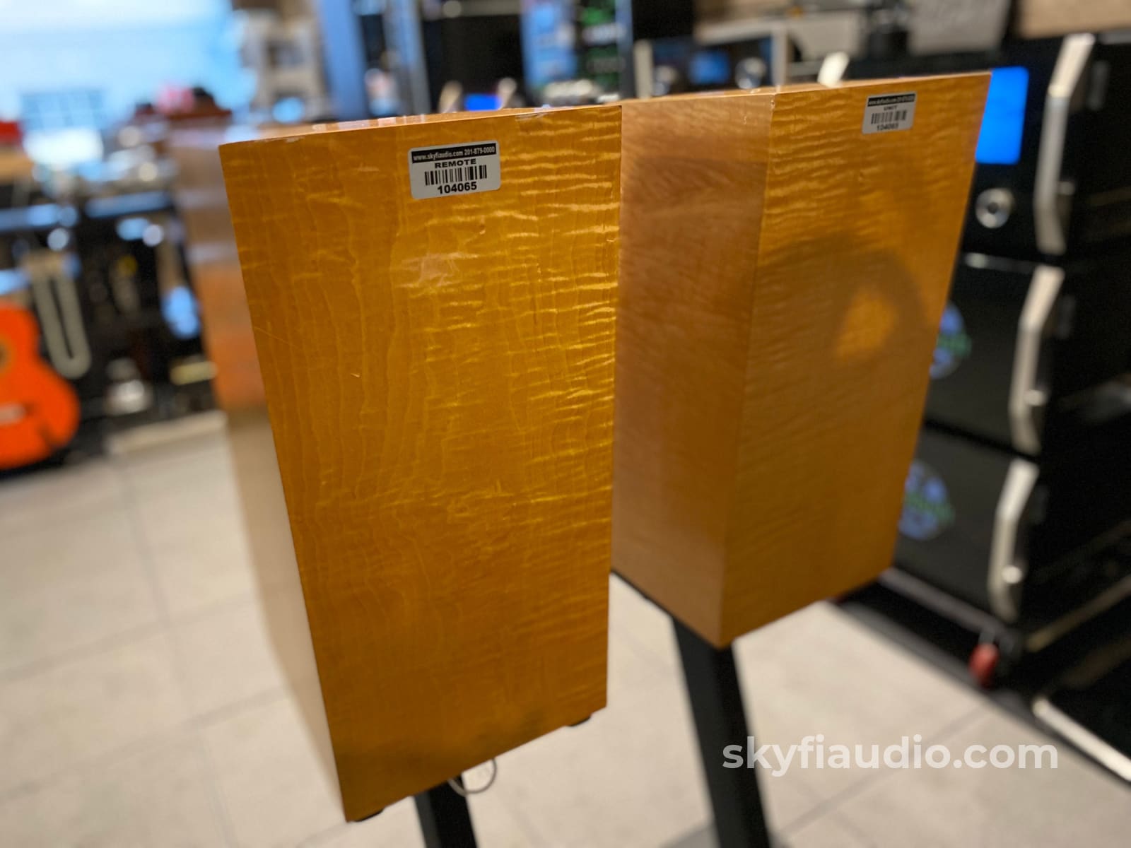 Avalon Acoustics Monitor Speakers W/ Matching Stands