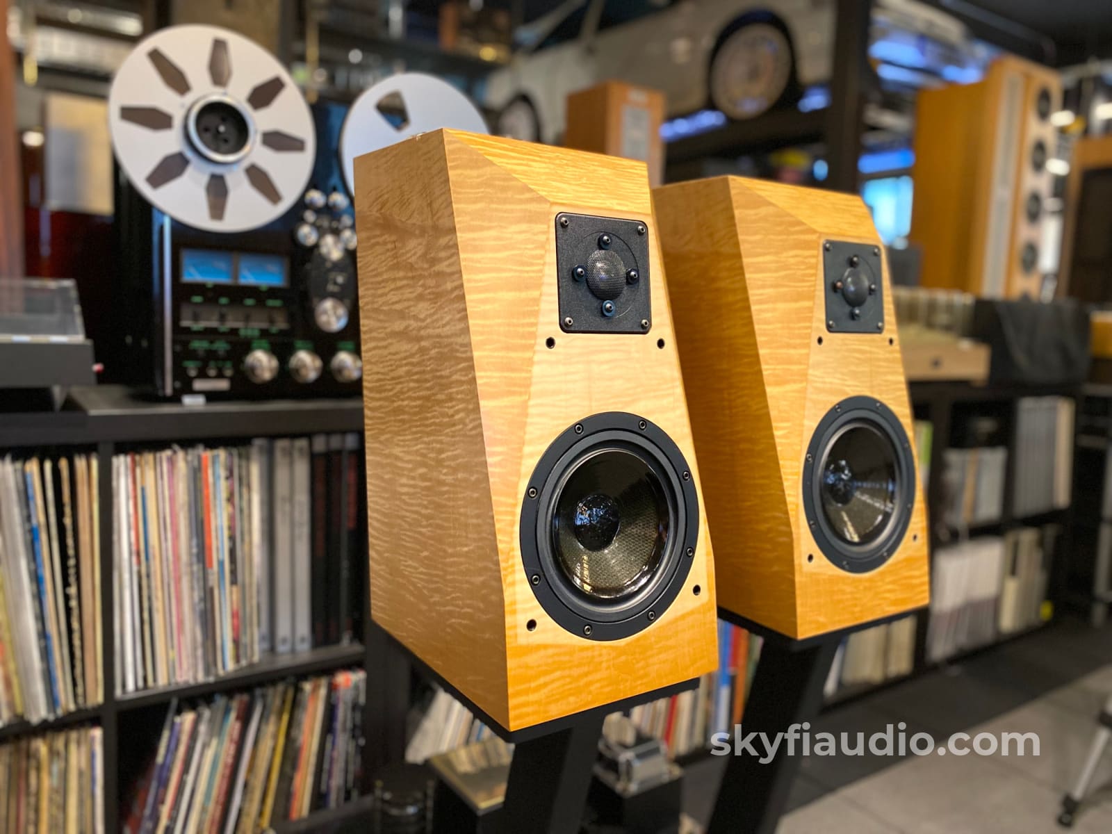 Avalon Acoustics Monitor Speakers W/ Matching Stands