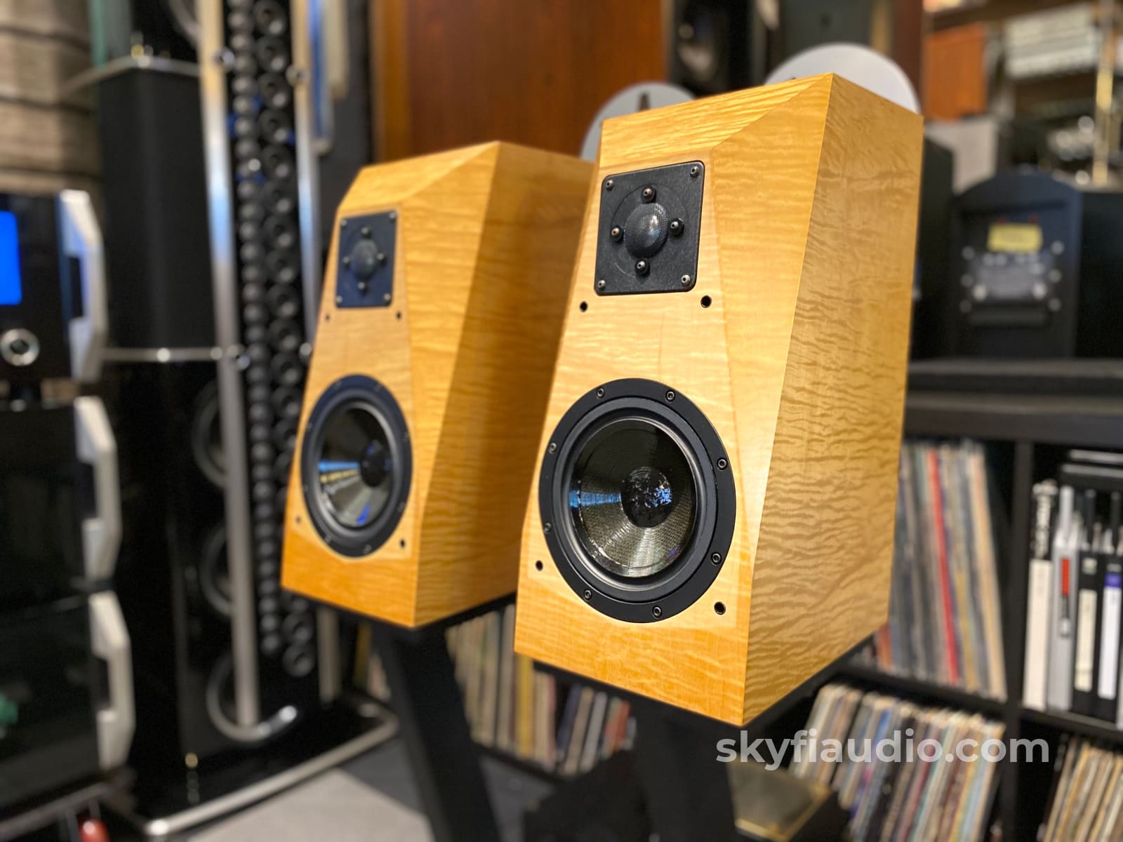 Avalon Acoustics Monitor Speakers w/ Matching Stands