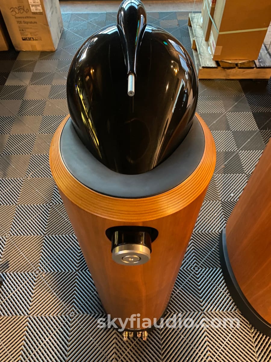 Bowers & Wilkins 802D Speakers In Cherrywood - Like New