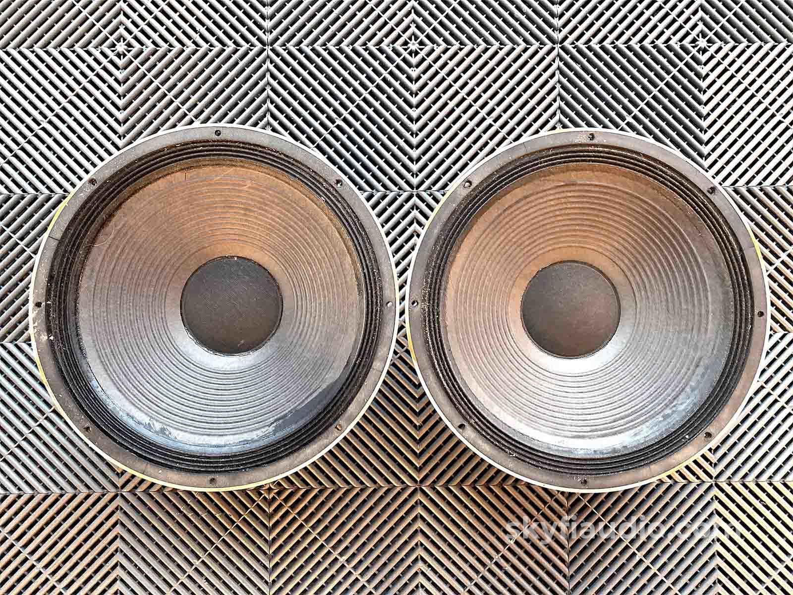 Cetec Gauss 15 Loudspeaker Drivers 5831 (Consecutive Serials) Speakers