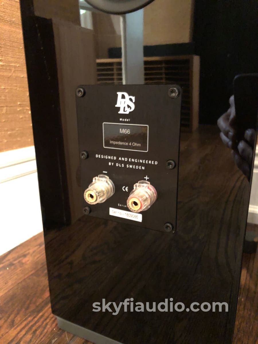 Dls M66 Full Range Speakers In Gloss Black - Rare