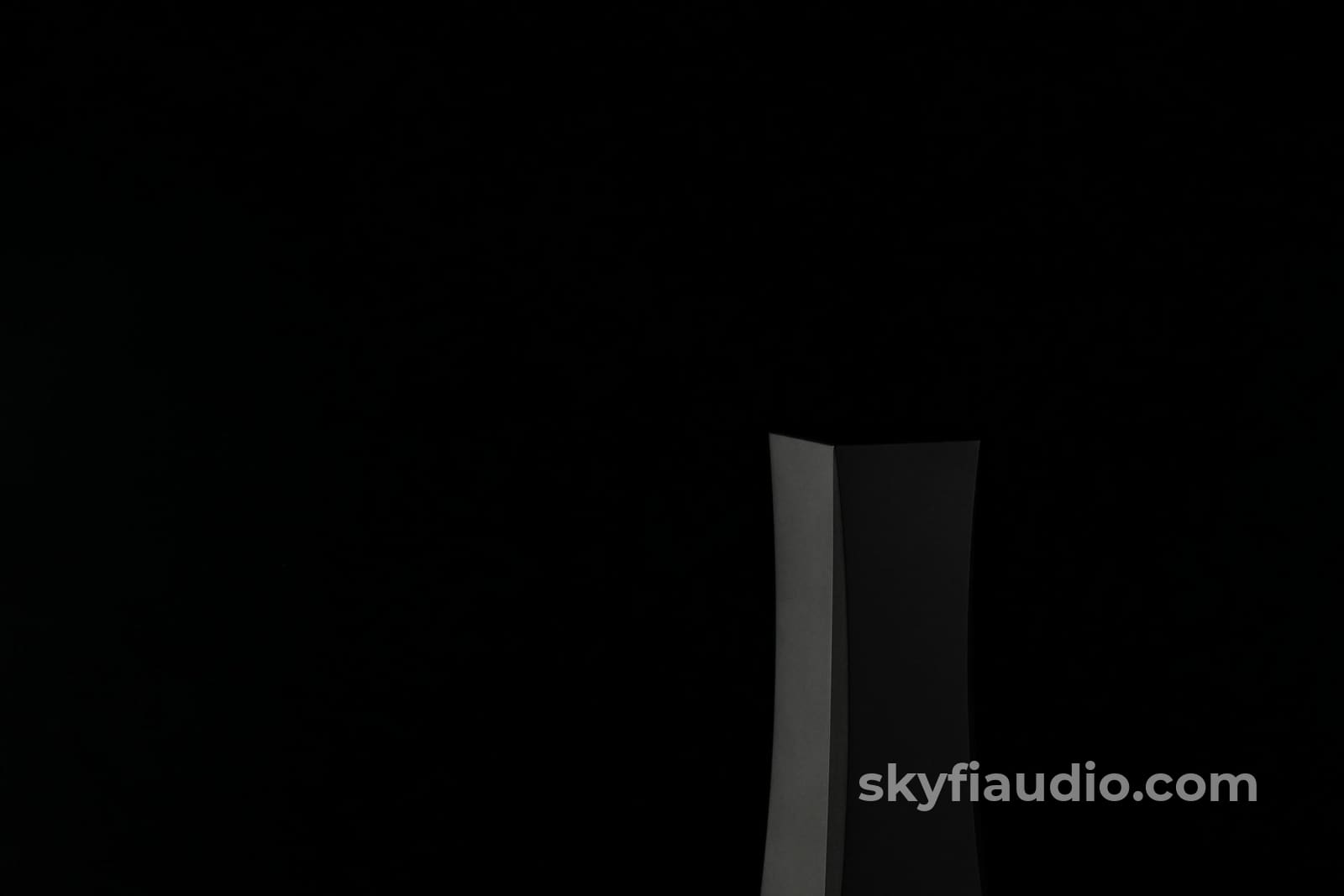 DS Audio ION-001 Vinyl Ionizer - NEW Accessory