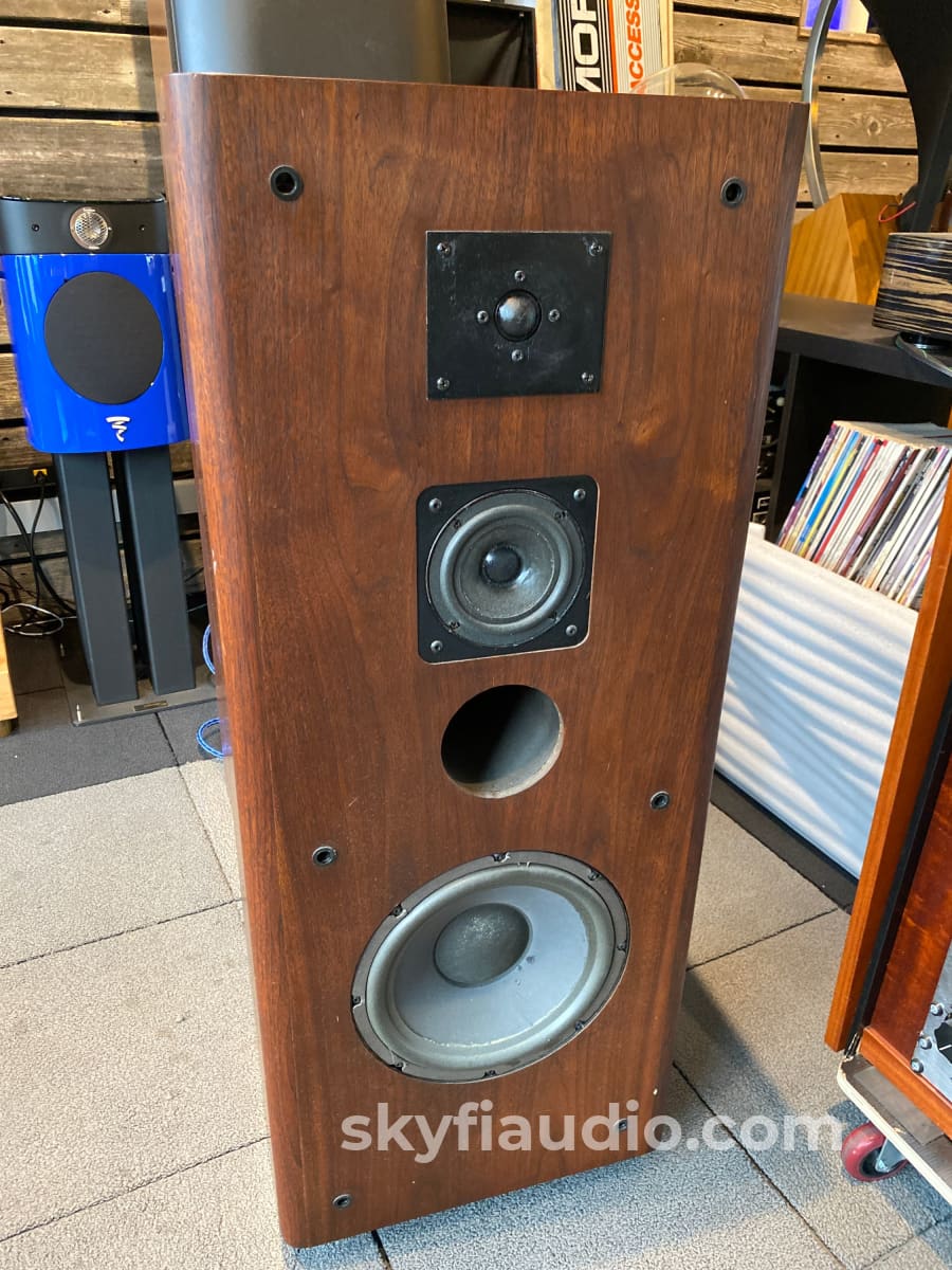 Fourier Model One Speakers - Rare!