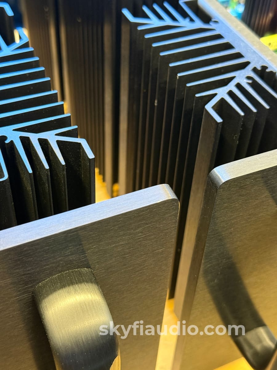 Lamm M1.2 Reference Monoblock Amplifier Pair Class A Tube / MOSFET Hybrid Amplifier