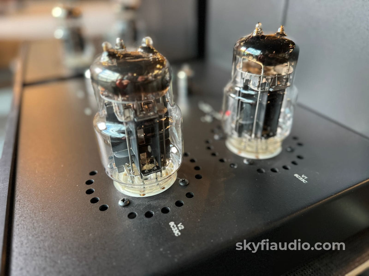 Lamm Ml2.1 Monoblock Tube Amplifiers Factory Service - Stereophile Class A Amplifier