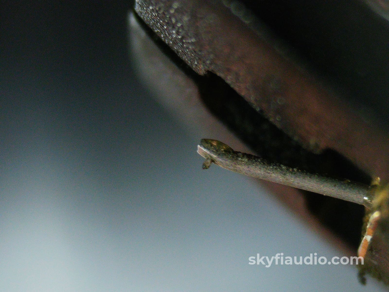 Linn Arkiv MC Phono cartridge Phono Cartridge