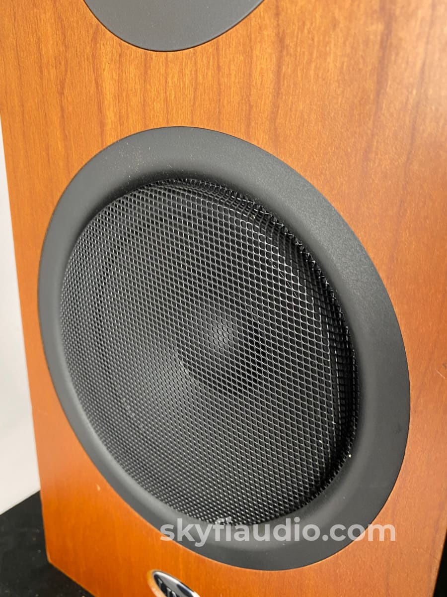 Linn Katan Bookshelf Speaker - Made In The Uk Speakers