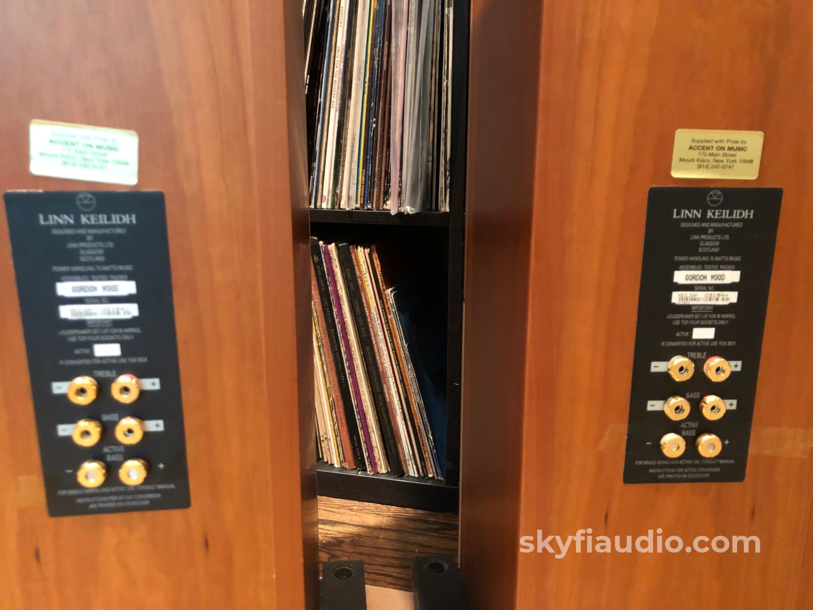 Linn Keilidh Floorstanding Speakers