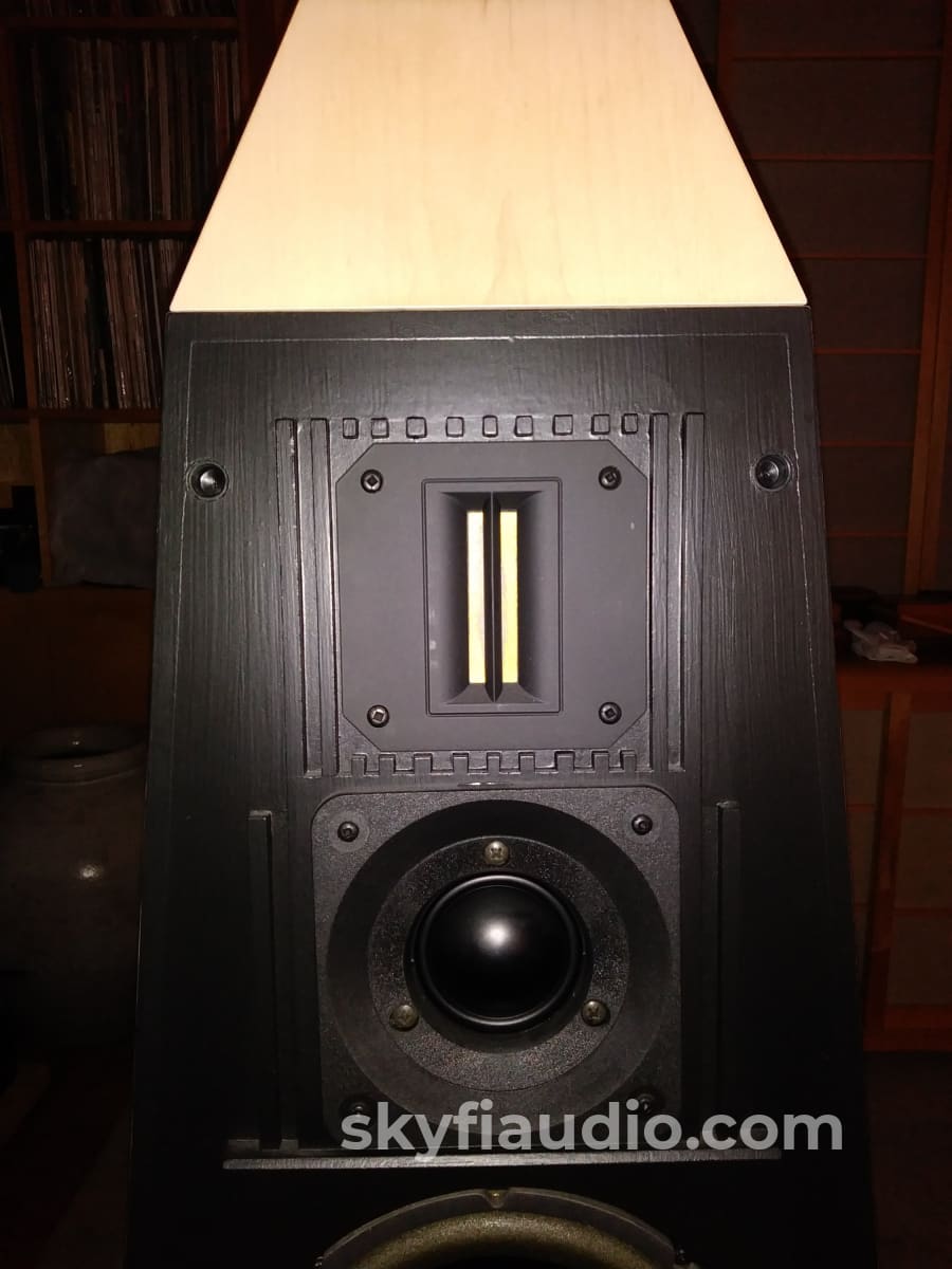 Nestorovic Labs Type 5As Mark V Signature Speakers In Custom Finish
