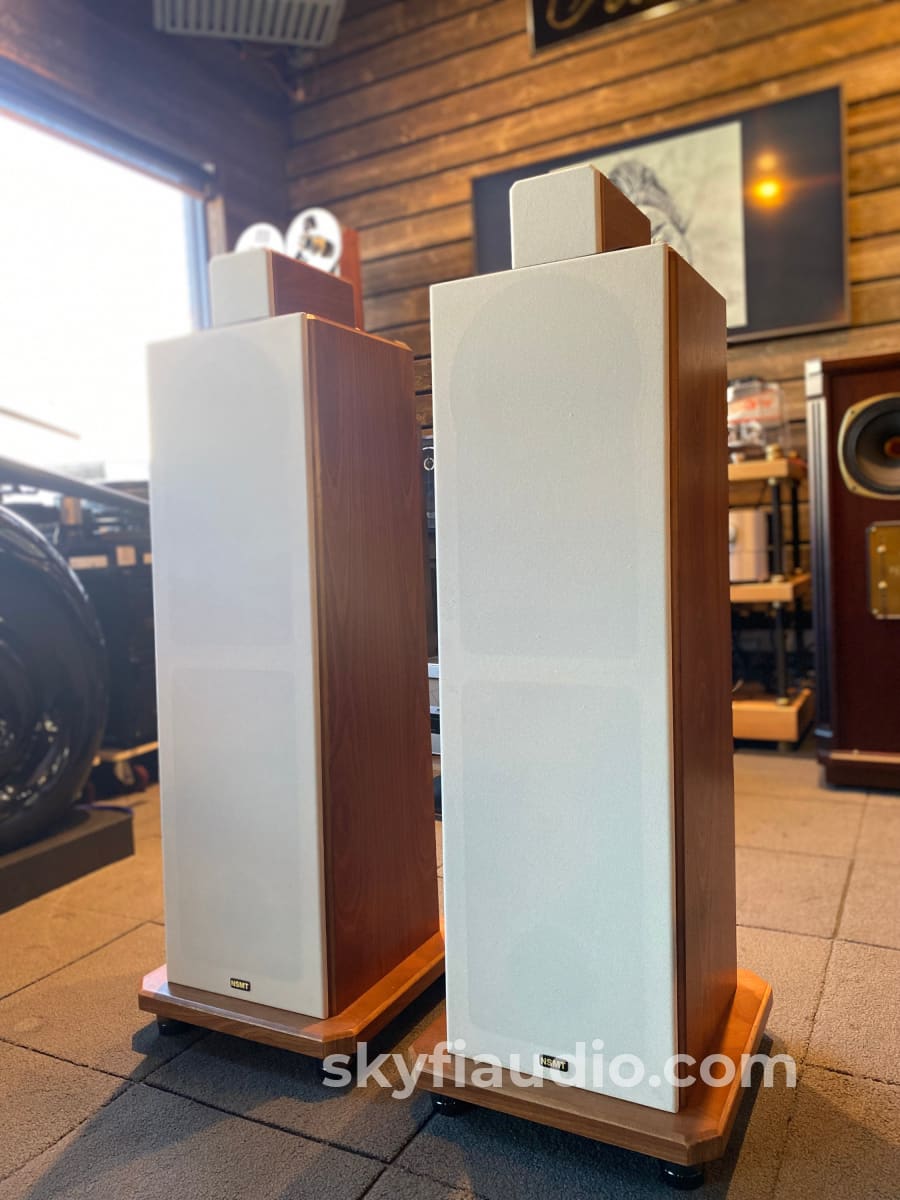 Nsmt Model 100 Speakers - Highly Reviewed
