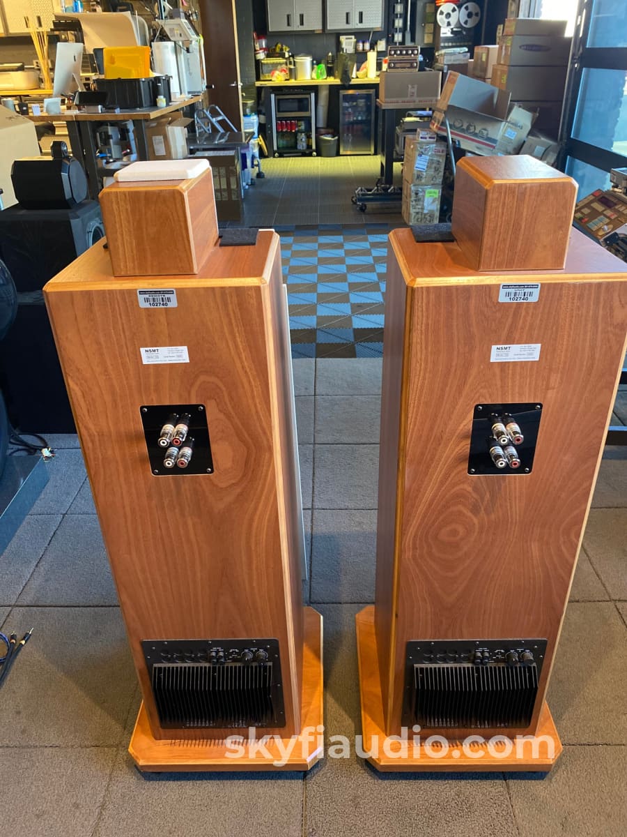 Nsmt Model 100 Speakers - Highly Reviewed