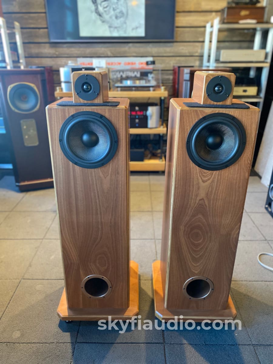 Nsmt Model 100 Speakers - Highly Reviewed