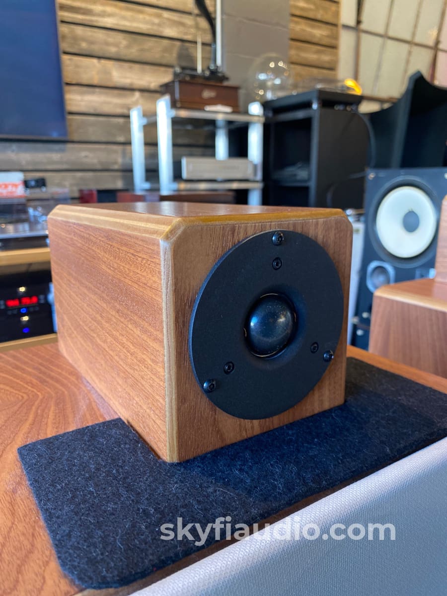 Nsmt Model 100 Speakers - Highly Reviewed