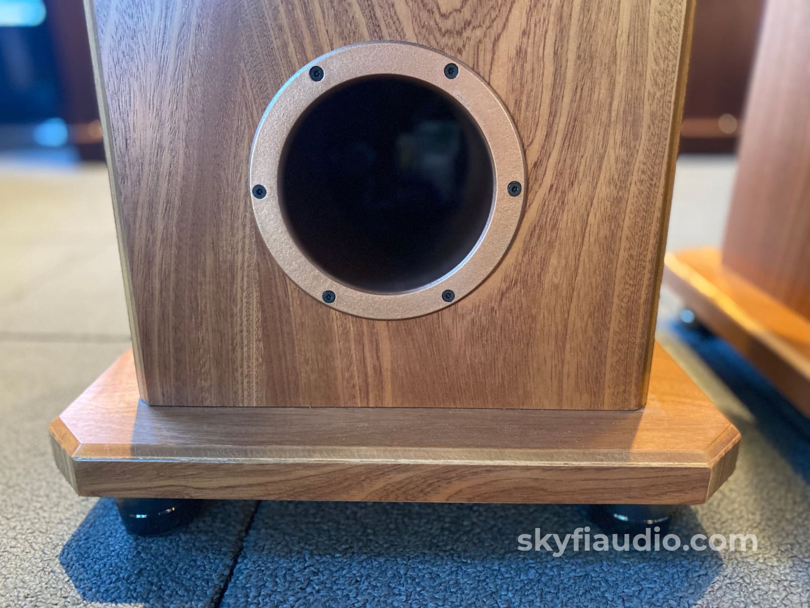 Nsmt Model 100 Speakers - Highly Reviewed