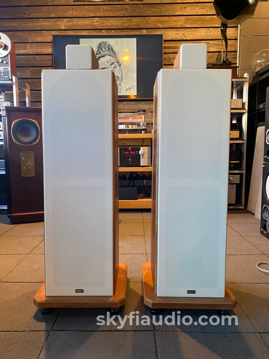 Nsmt Model 100 Speakers - Highly Reviewed