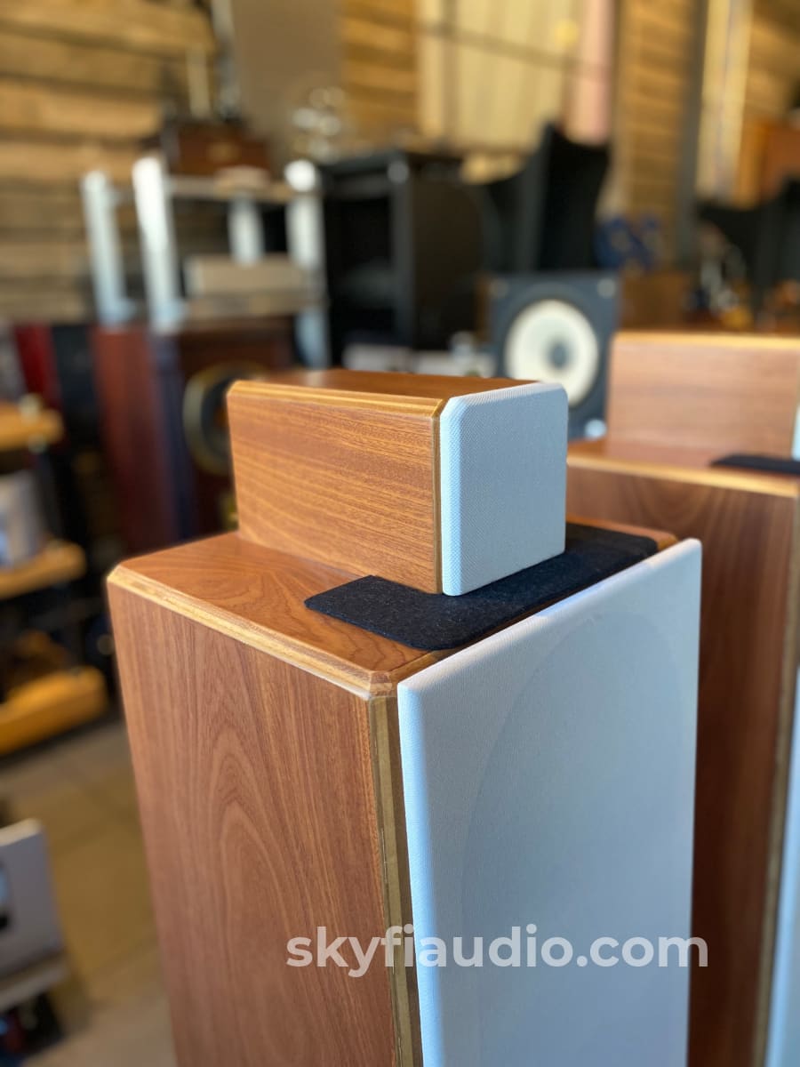 Nsmt Model 100 Speakers - Highly Reviewed