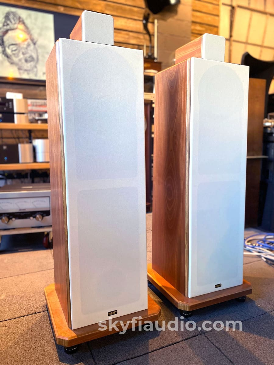 Nsmt Model 100 Speakers - Highly Reviewed