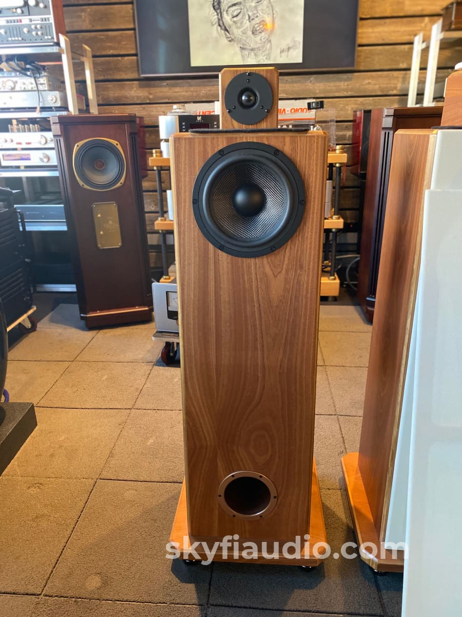 Nsmt Model 100 Speakers - Highly Reviewed
