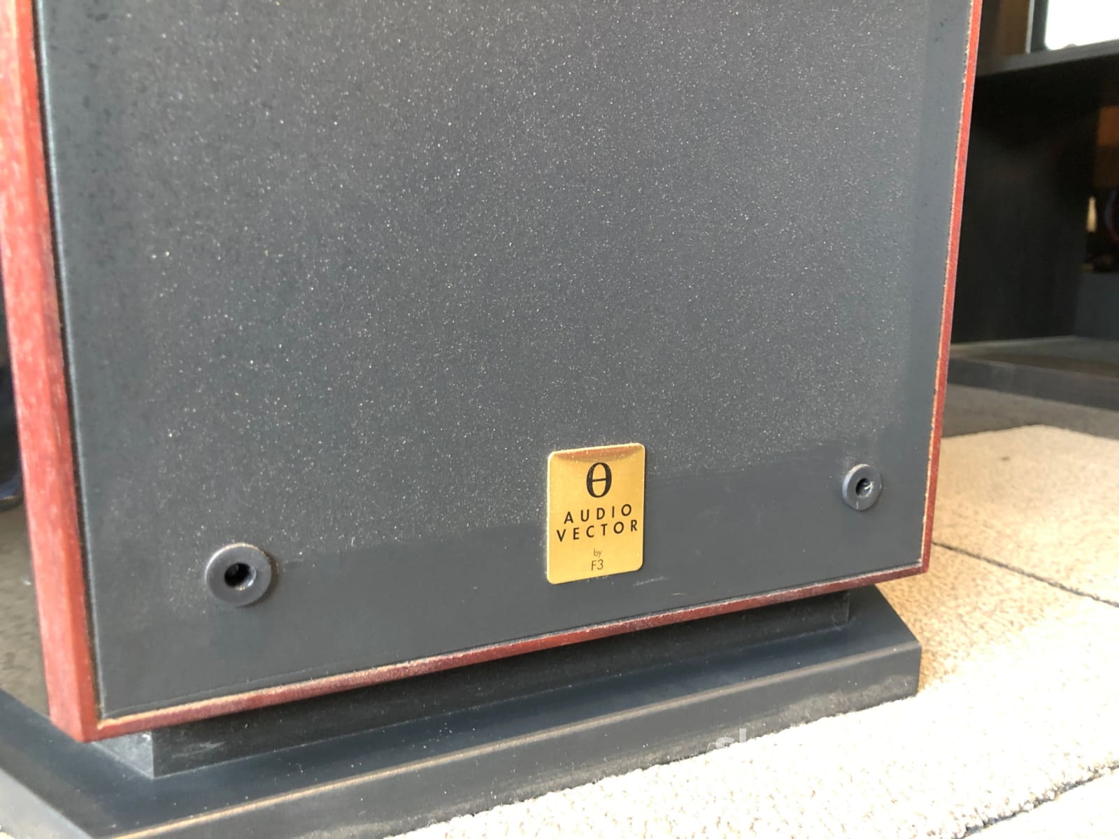 Rare Audiovector F3/Lyd Tower Speakers With Focal Drivers