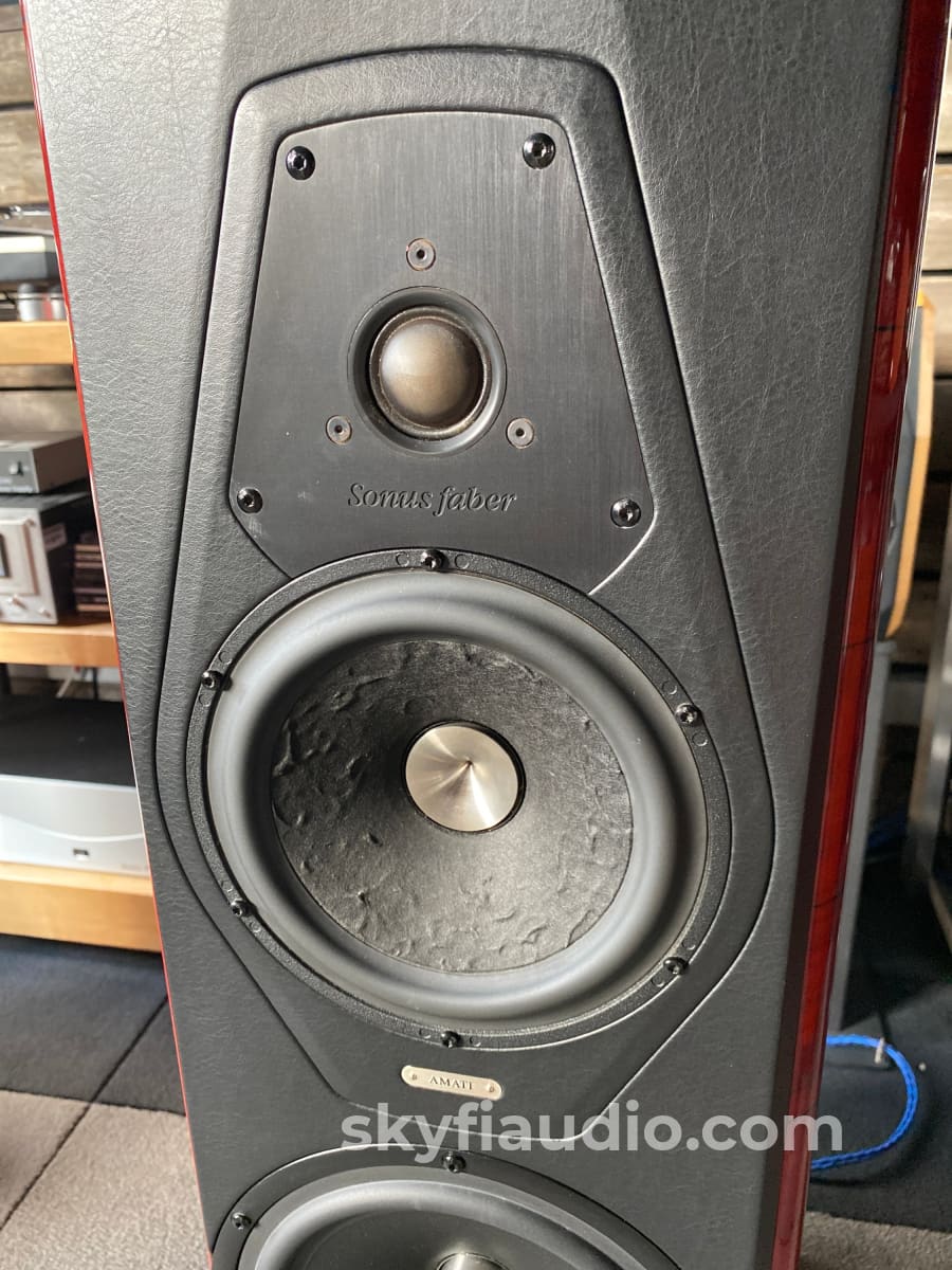 Sonus Faber Amati Futura Speakers - Italian Excellence