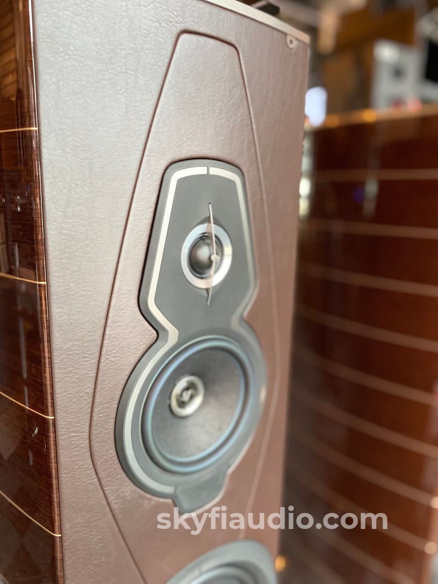 Sonus Faber Amati Tradition In Wenge - Gorgeous And Like New! Reczhufeta7Kaa1Dd