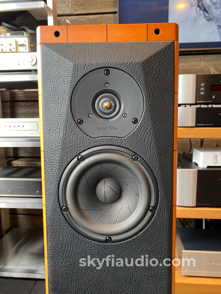 Sonus Faber Cremona Speakers In Maple Wood - Made Italy