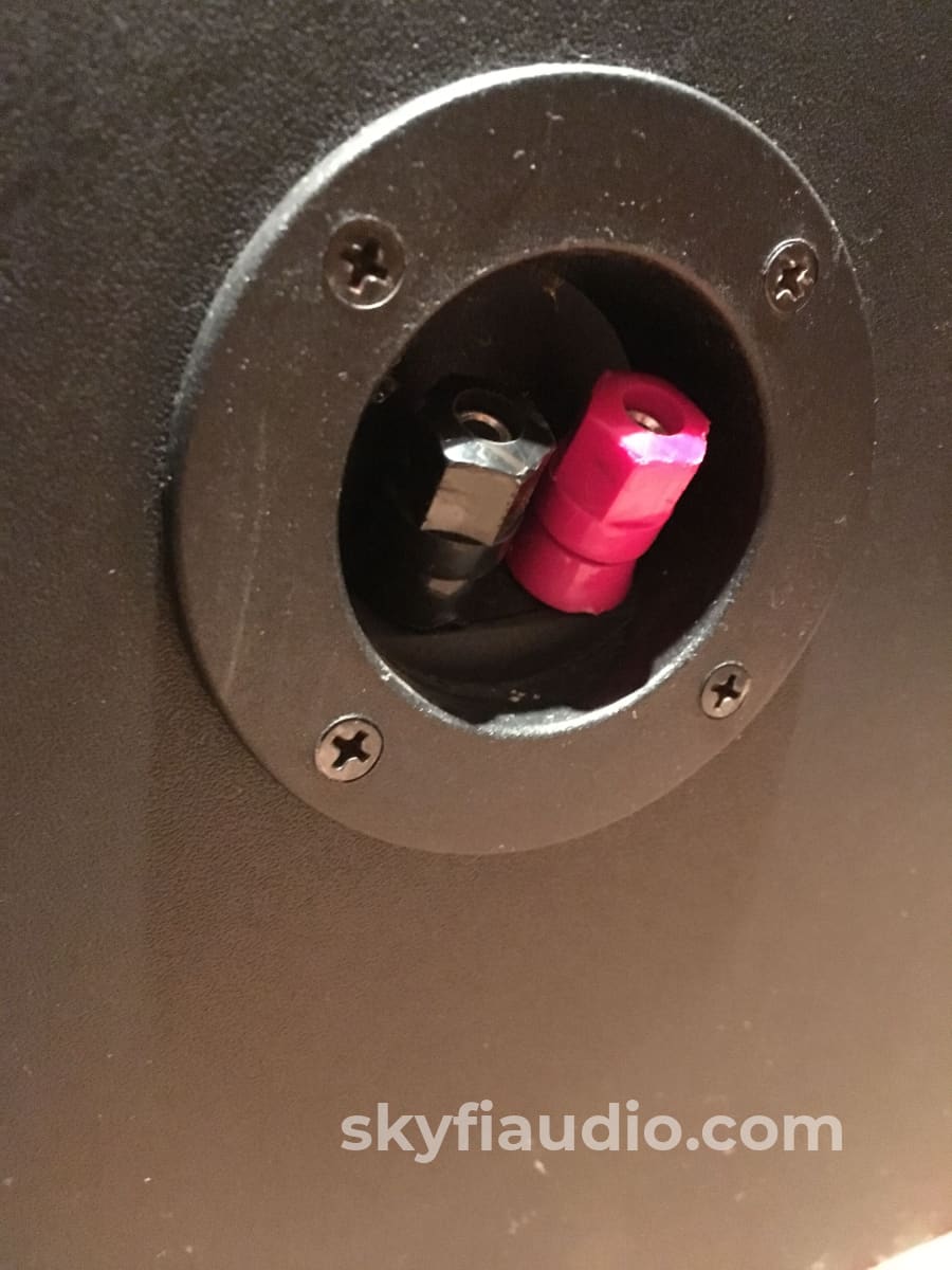 Spica Angelus Speakers