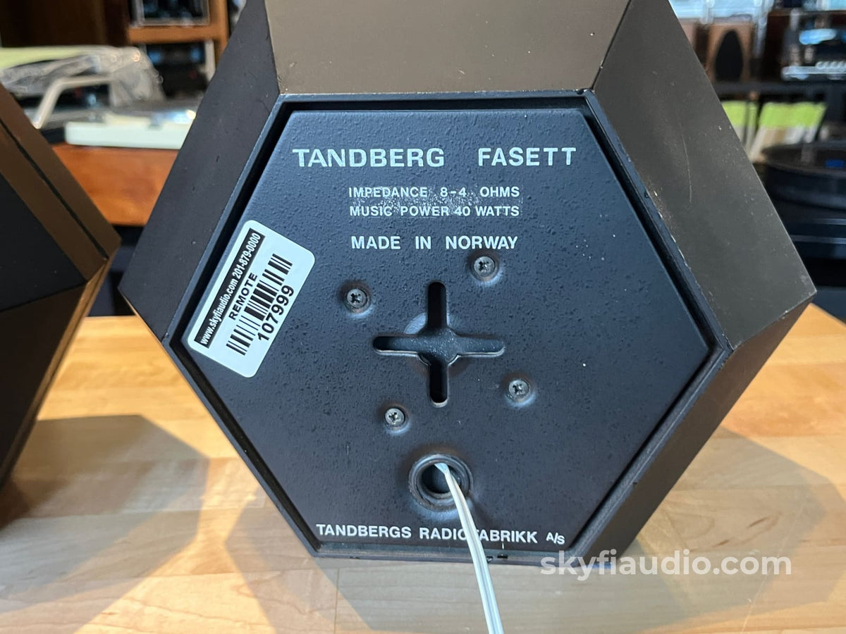 Tandberg Fasett Vintage Hexigonal Bookshelf Speakers - Terje Ekstrom Designed - Speakers