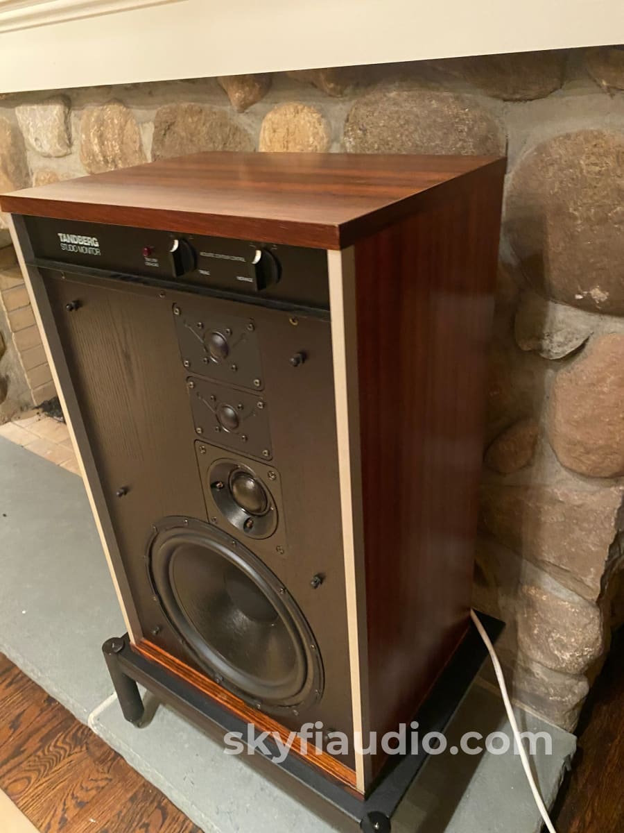 Tandberg Studio Monitor Speakers - Rare