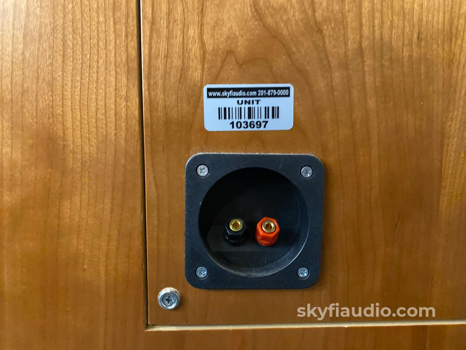 Tannoy 15 Red Vintage Speakers In Custom Cabinets