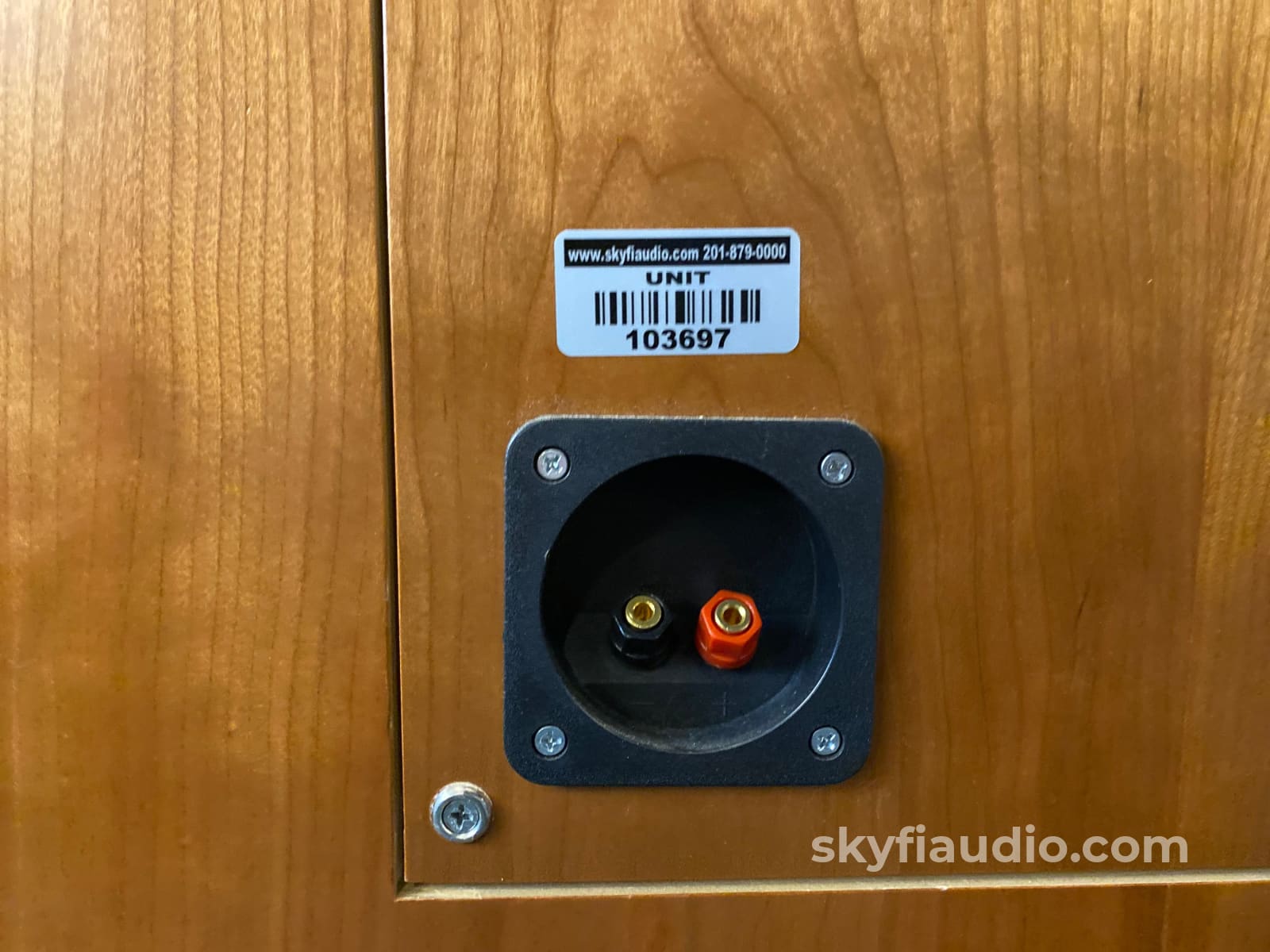 Tannoy 15 Red Vintage Speakers In Custom Cabinets