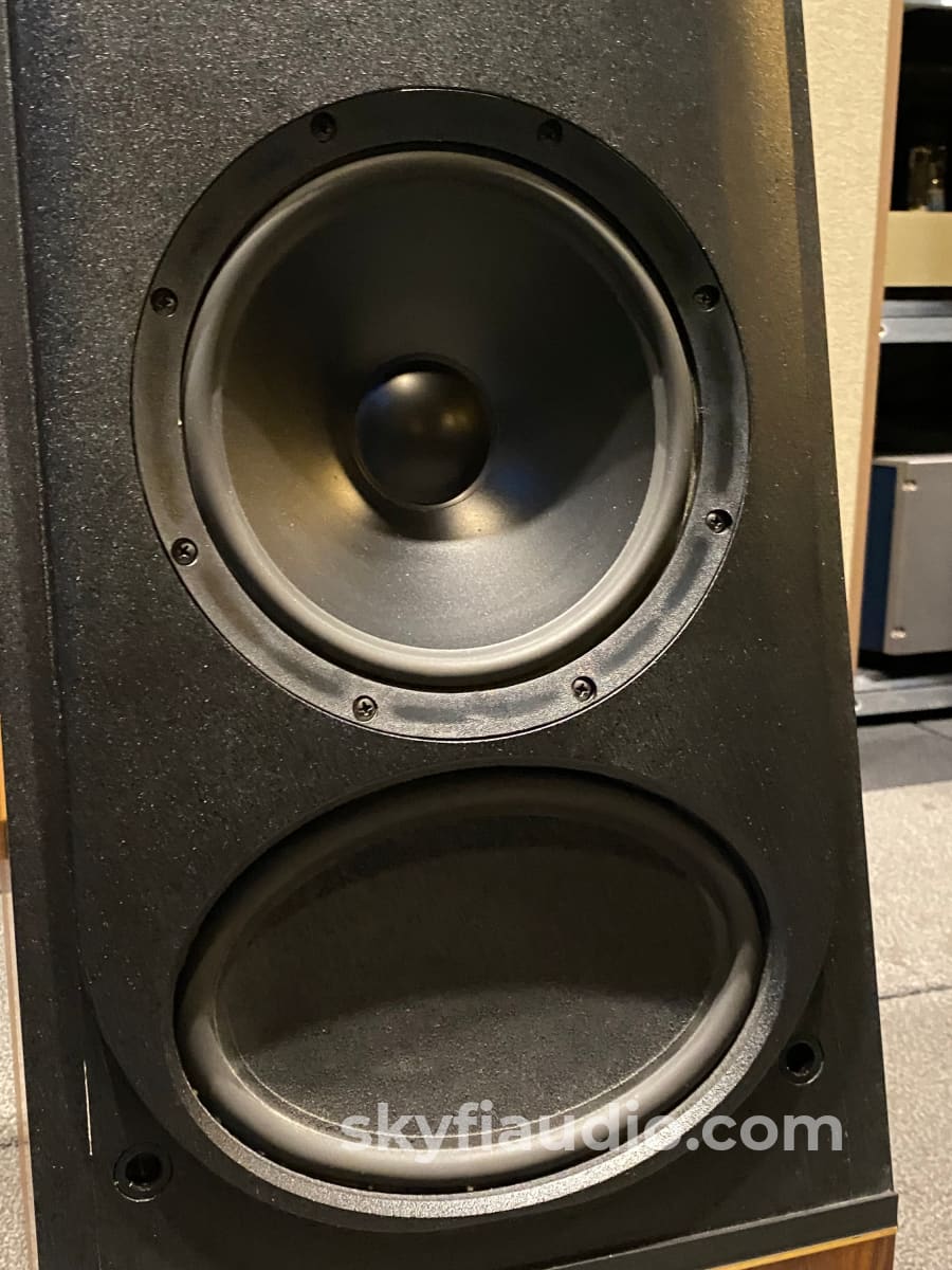 This Cs2.2 Full Range Floor Standing Speakers - Super Clean