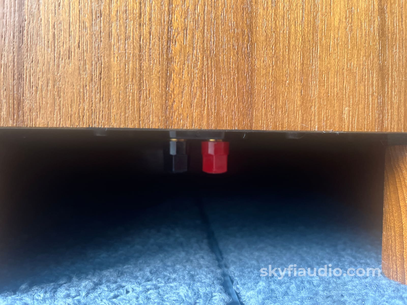 Thiel CS5 Vintage Speakers - Top of the Line Thiel Speakers