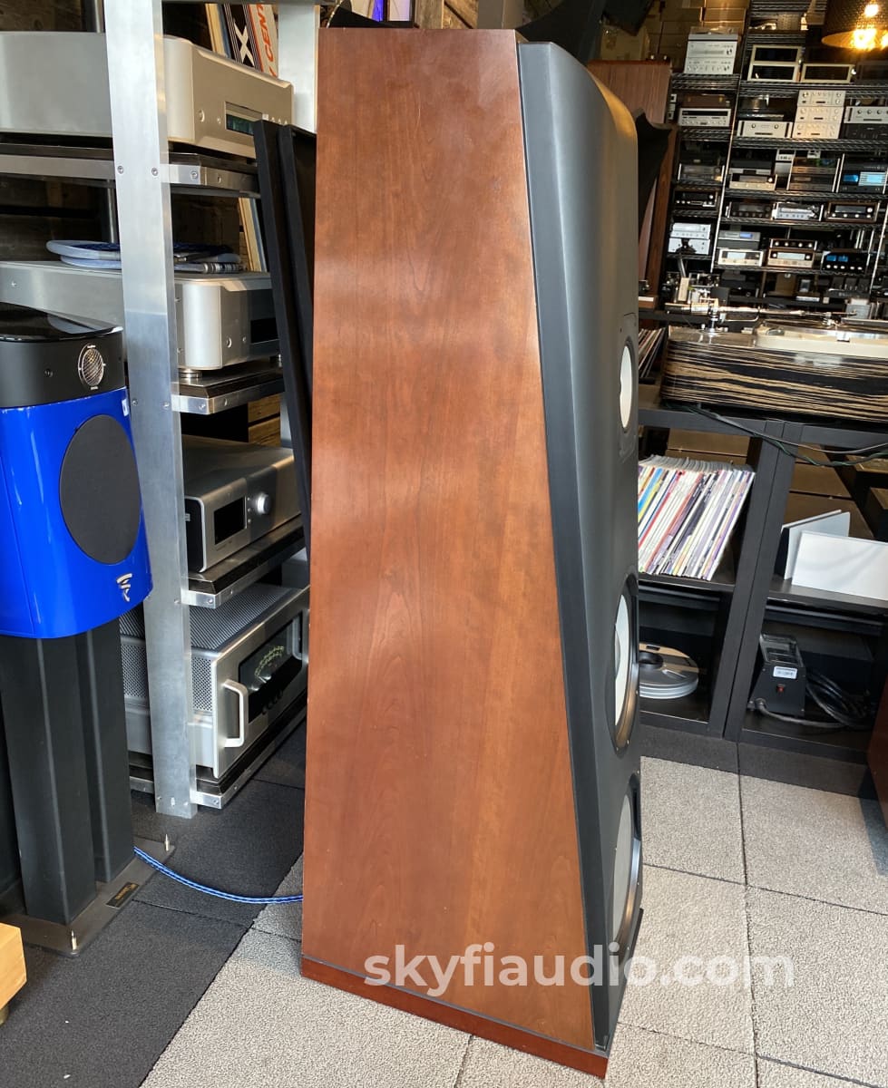 Thiel Cs6 3-Way Time Aligned Floorstanding Speakers