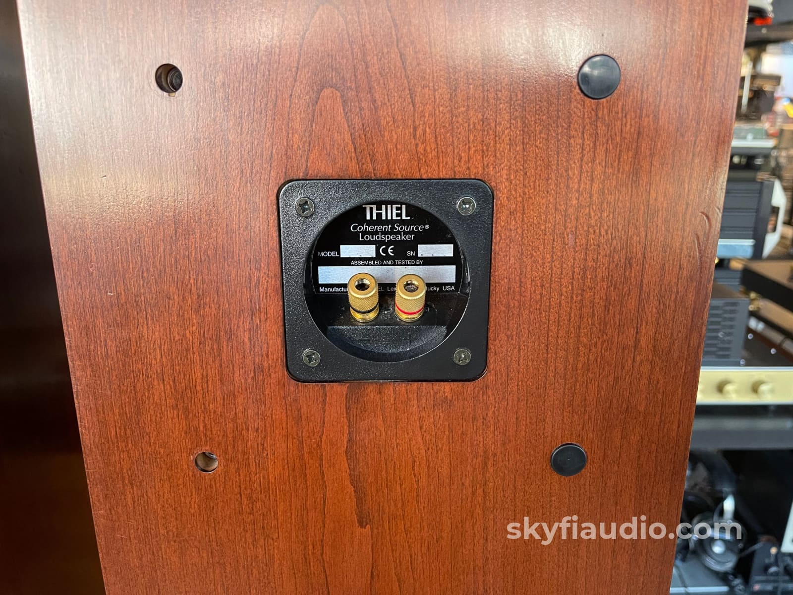Thiel Mcs1 - Coherent Source Left/Right/Center (Lcr) Speaker System Amberwood Finish Speakers