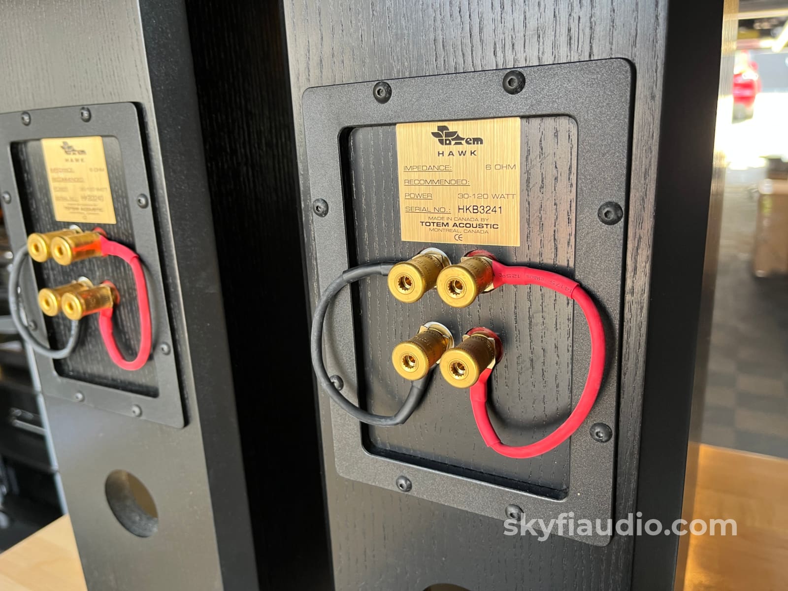 Totem Hawk Floorstanding Speakers in Black Speakers