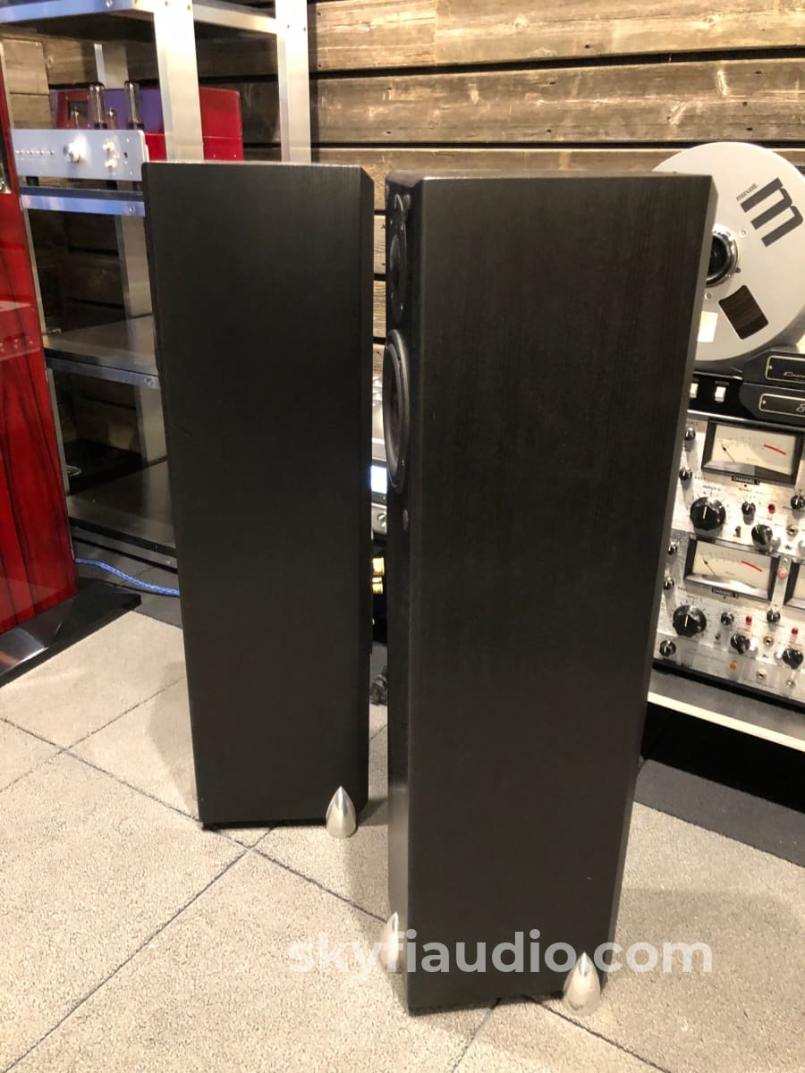 Totem Hawk Floorstanding Speakers In Black Ash