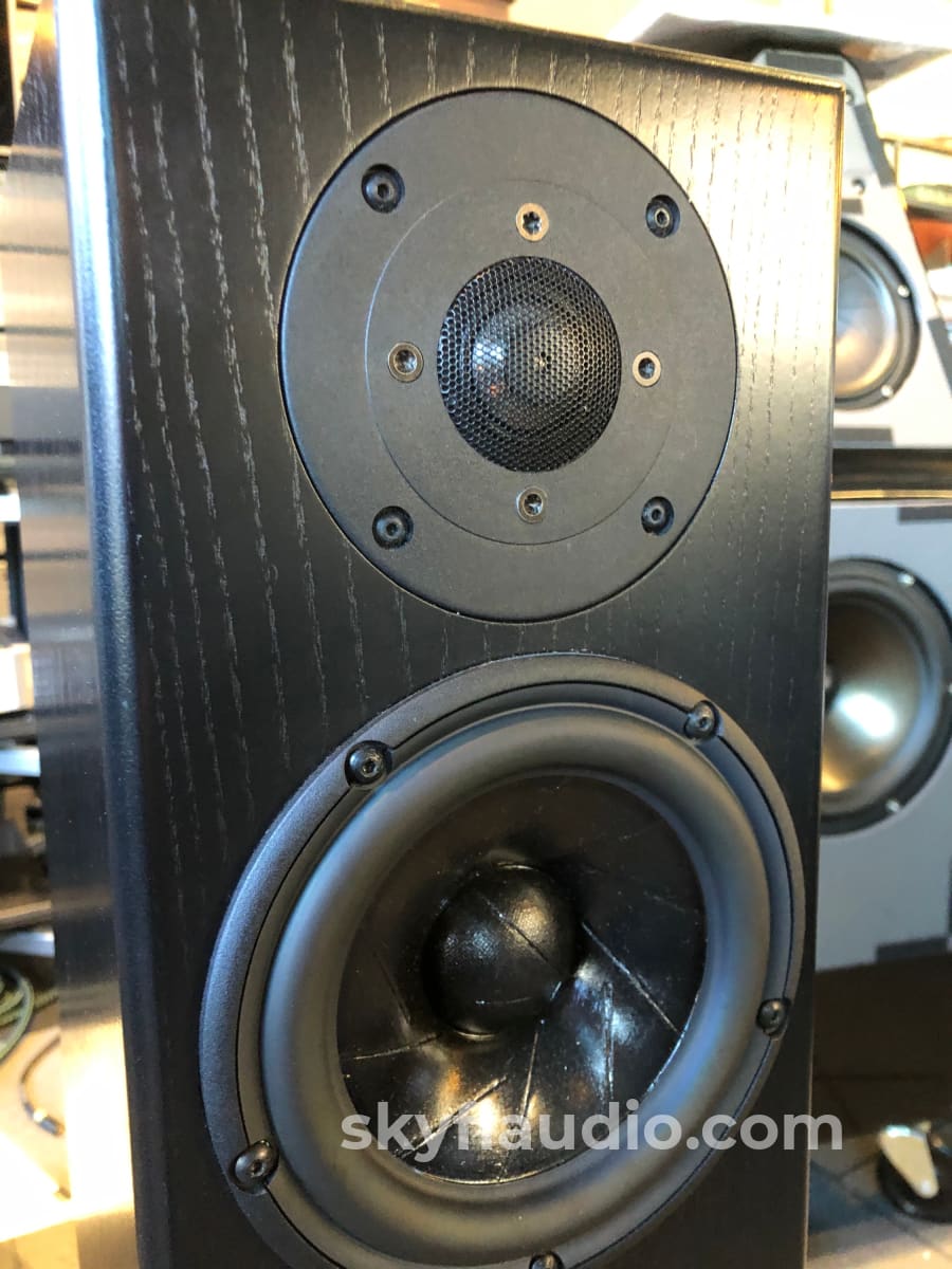 Totem Hawk Floorstanding Speakers In Black Ash