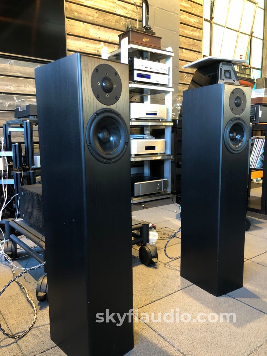 Totem Hawk Floorstanding Speakers In Black Ash