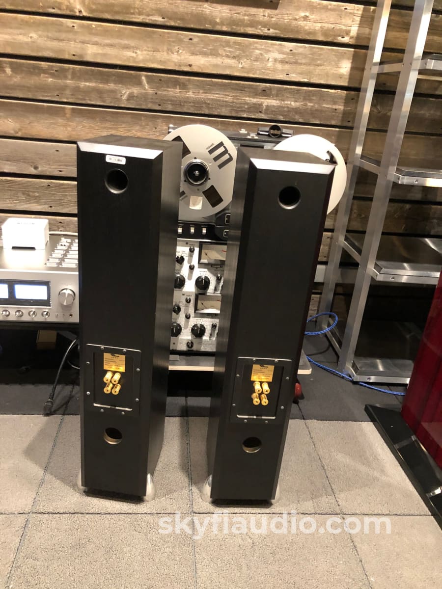 Totem Hawk Floorstanding Speakers In Black Ash