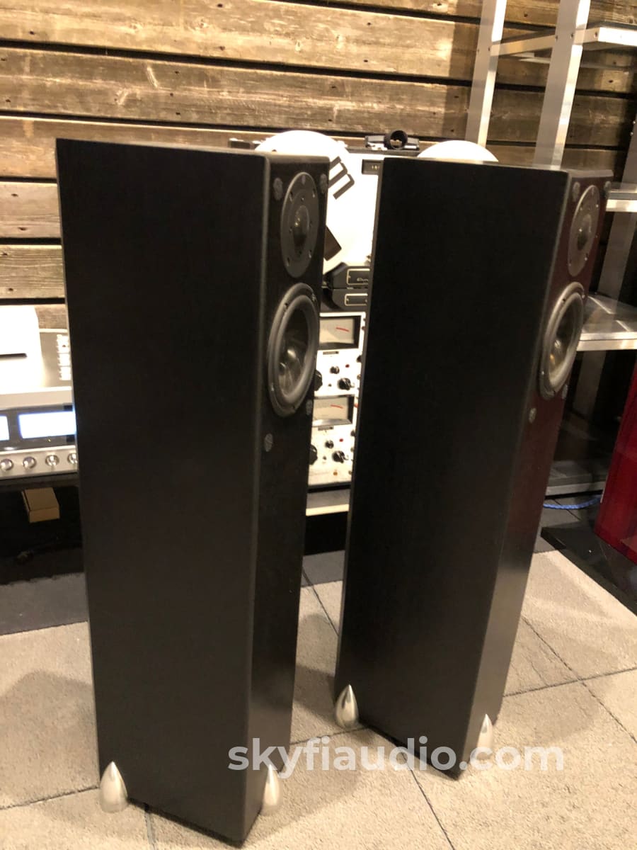 Totem Hawk Floorstanding Speakers In Black Ash