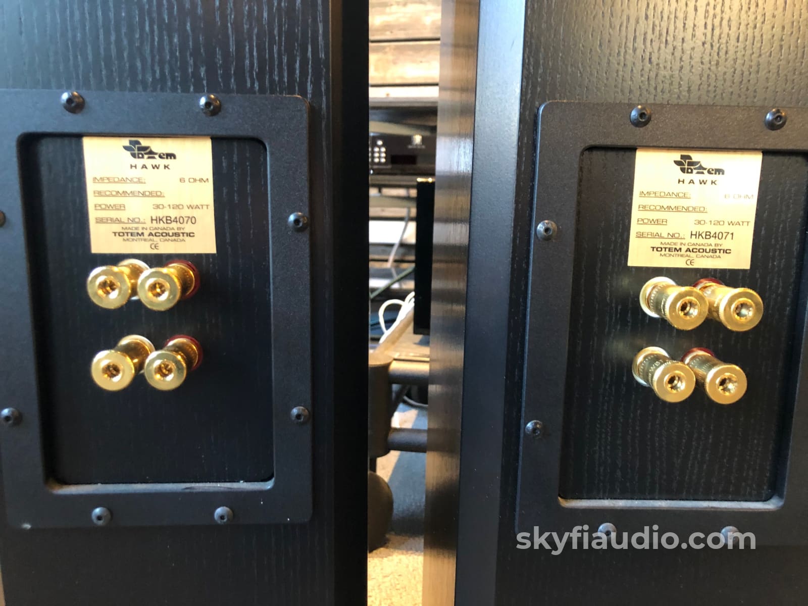 Totem Hawk Floorstanding Speakers In Black Ash