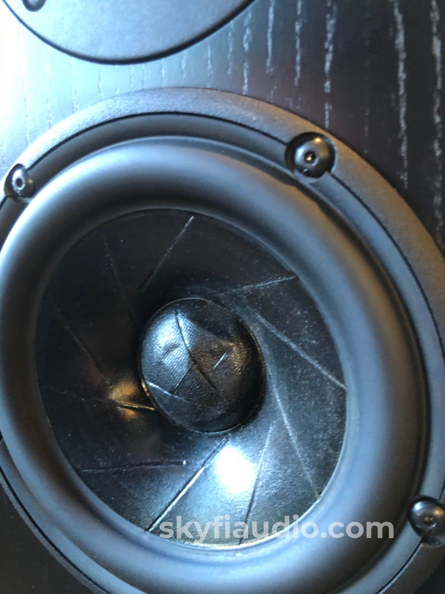 Totem Hawk Floorstanding Speakers In Black Ash