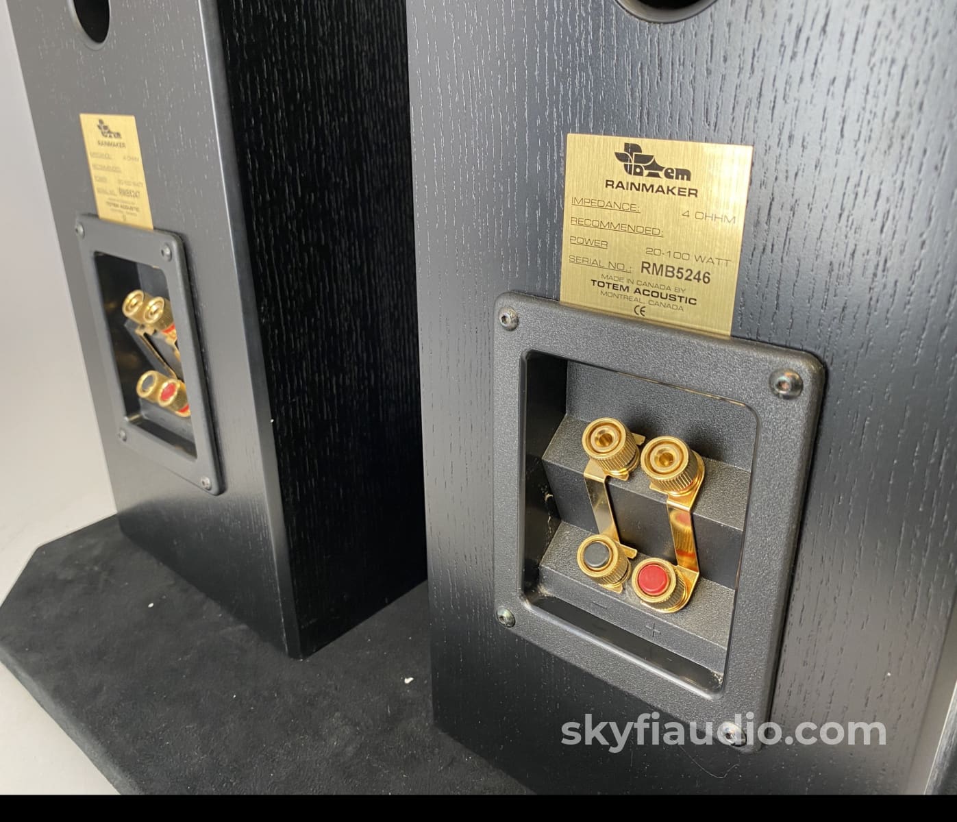 Totem Rainmaker Bookshelf Speakers - Big Sound